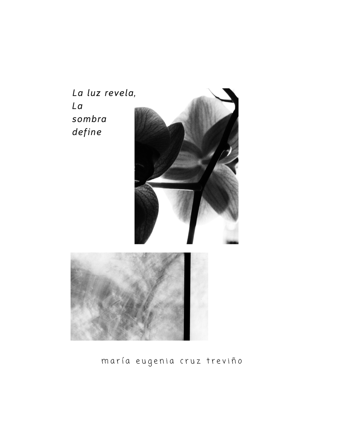 Exhibición Fotográfica: "La luz revela, la sombra define"