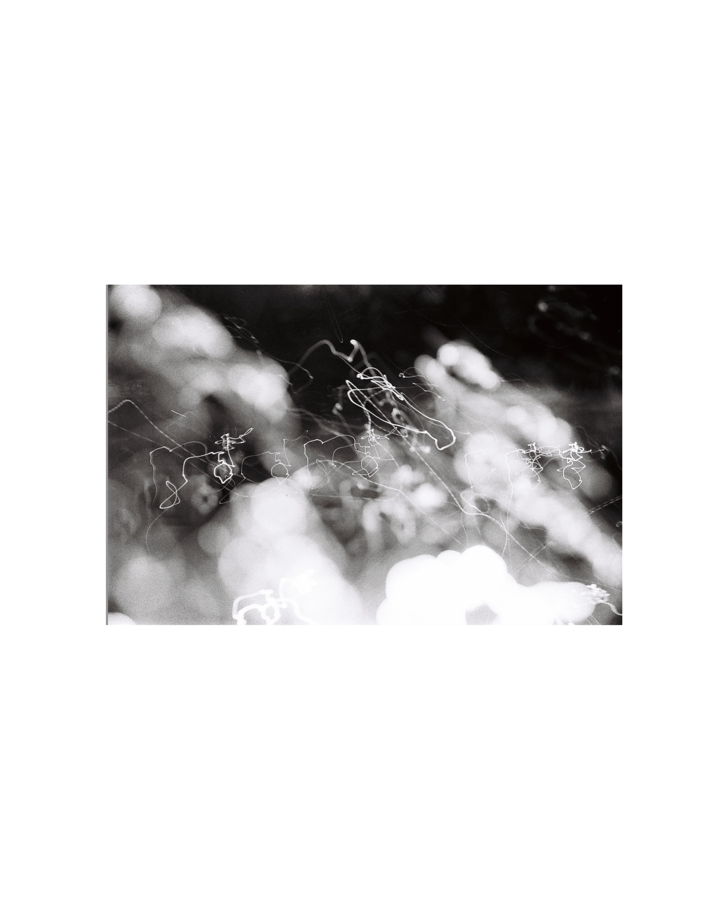 Fotografía-Black spring.